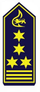 Schulterstück "Leitender Branddirektor als FW-Kommandant"